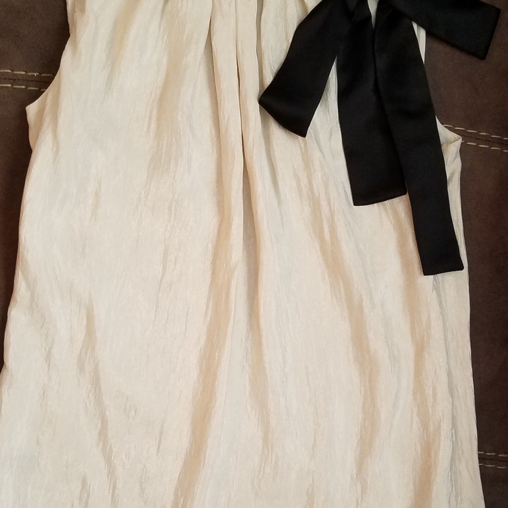 The Limited blouse with bow